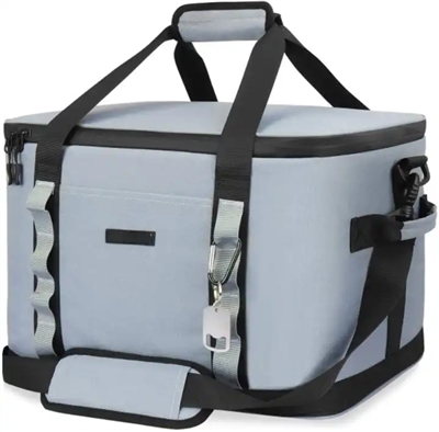 Insulated Bag Cooler